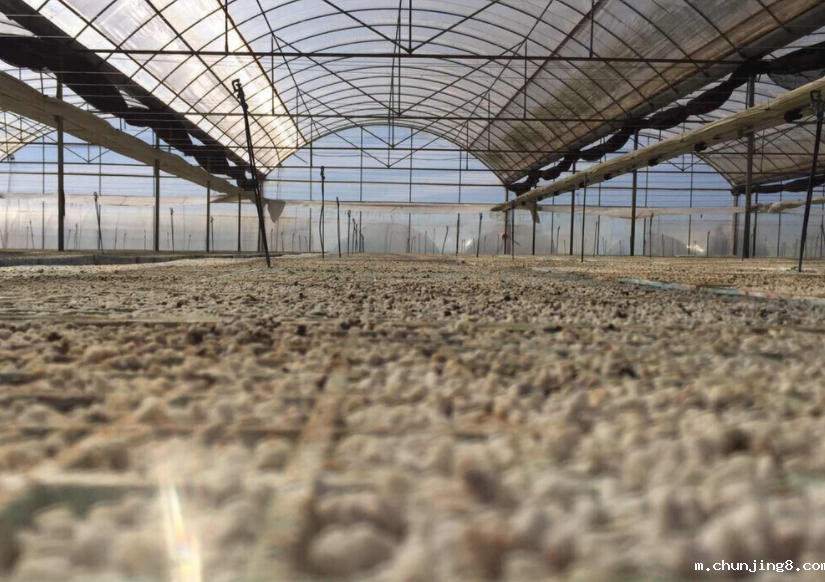 土壤团粒分析仪的配置,土壤团粒分析仪的操作步骤