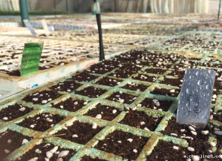 土壤氧化还原电位测定仪:解读适用范围与土壤类型 土壤氧化还原电位测定仪:解读适用范围与土壤类型