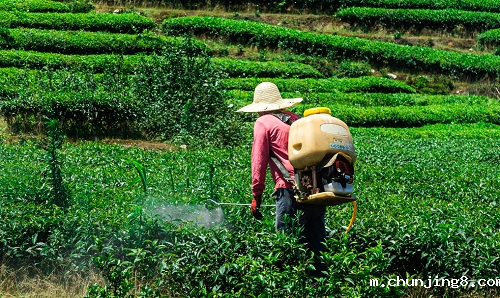 农药残留速测仪:哪些因素会造成农药残留