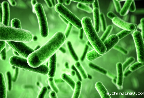 Betway体育外围仪器带您了解大肠杆菌超标对人体的危害