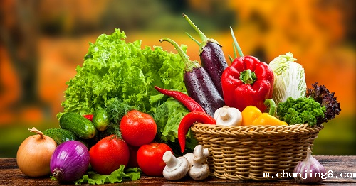 食品安全检测仪系列开机操作步骤 食品安全检测仪系列开机操作步骤