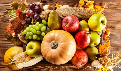 食品安全检测仪靠谱吗?出口贸易的监督者