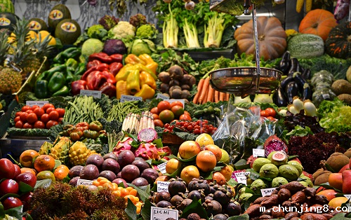 便携式食品安全检测仪可以检测哪些项目