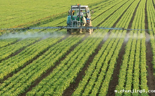 农药残留问题更为明显,农药残留检测仪保障食品安全 农药残留问题更为明显,农药残留检测仪保障食品安全