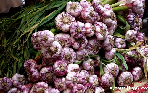 农药残留检测仪怎么样:农药残留检测仪在农贸市场中的应用 农药残留检测仪怎么样:农药残留检测仪在农贸市场中的应用