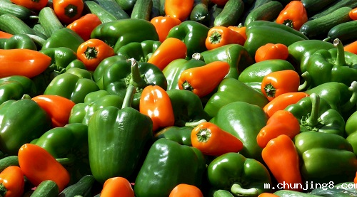 食品安全检测仪作用明显吗?食品安全检测仪作用如何