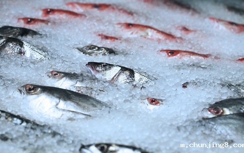 特殊情况下的食品安全综合检测仪对冷冻食品的安全检测
