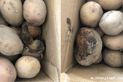 明知故犯!隔夜蟹、变质土豆上了消费者餐桌,谁给的勇气