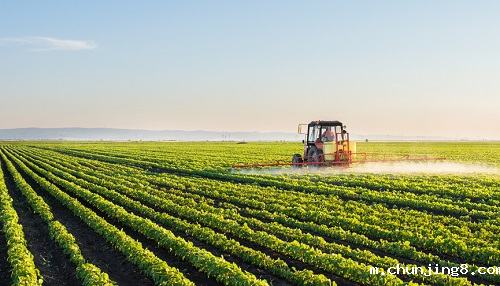 农药残留检测仪守护消费者菜篮子安全
