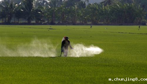 全自动农药残留检测仪的功能特点有哪些? 全自动农药残留检测仪的功能特点有哪些?
