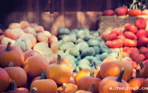 科学仪器的支持---农药残留检测仪对农业生产的重要性!