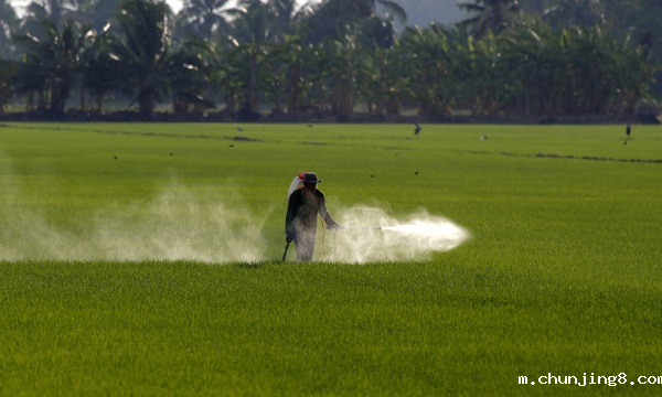 瓜果蔬菜的农药残留怎么规避?如何判断食品是否含有农药残留 瓜果蔬菜的农药残留怎么规避?如何判断食品是否含有农药残留