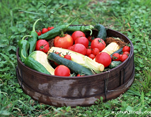 到底什么是农药残留超标?农药残留检测仪避免农药残留超标 到底什么是农药残留超标?农药残留检测仪避免农药残留超标