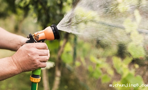 蔬果买回用农残检测仪测一测,食品安全更放心!