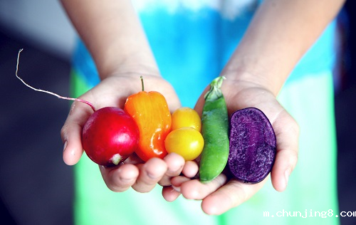 食品安全仪器的检测对象包括哪些? 食品安全仪器的检测对象包括哪些?