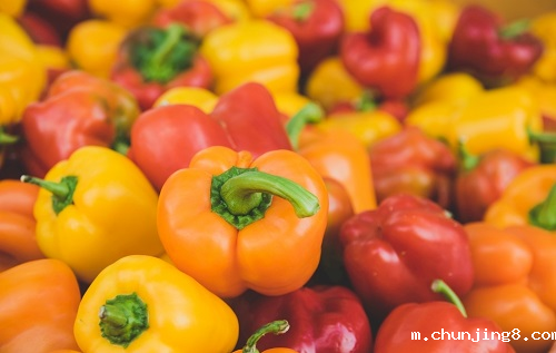 多功能食品安全检测仪器都配备哪些功能? 多功能食品安全检测仪器都配备哪些功能?