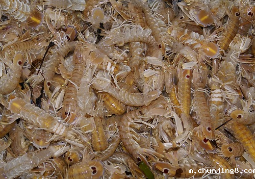 重金属污染引发食品安全 规范检测防治成重点