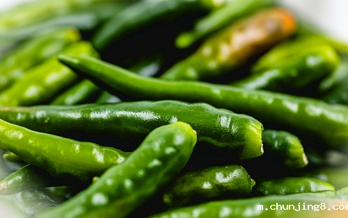 果蔬不安全,健康随时受威胁?智能食品安全检测仪检测果蔬安全