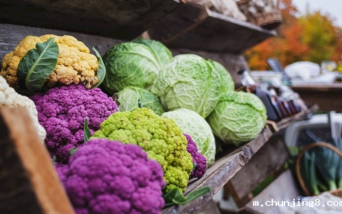 食品安全检测仪在保证食品质量方面有哪些优势? 食品安全检测仪在保证食品质量方面有哪些优势?