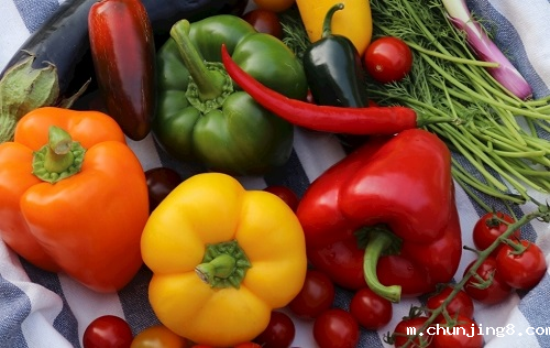 食品安全检测仪在保证食品质量方面有哪些优势？