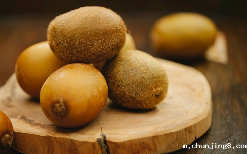 检测食品质量和安全主要仪器和设备有什么？好用吗？