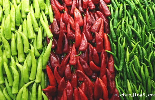 农药残留速测仪约束菜农使用农药